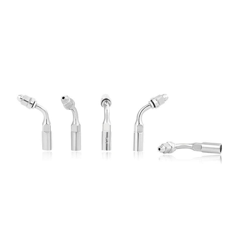 치과용 초음파 스케일러 팁 치과용 엔도 팁 EMS WO - Teeth Whitening Express 리뷰 및 가격