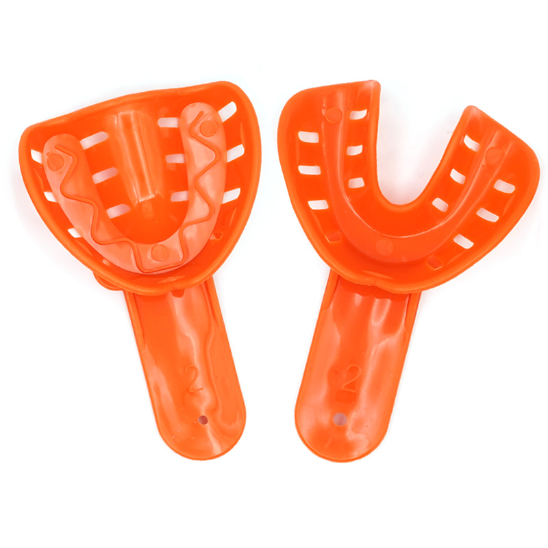 12pcs 치과 인상 트레이 치아 홀더 성인과 어린이를 - Teeth Whitening Tray 리뷰 및 가격