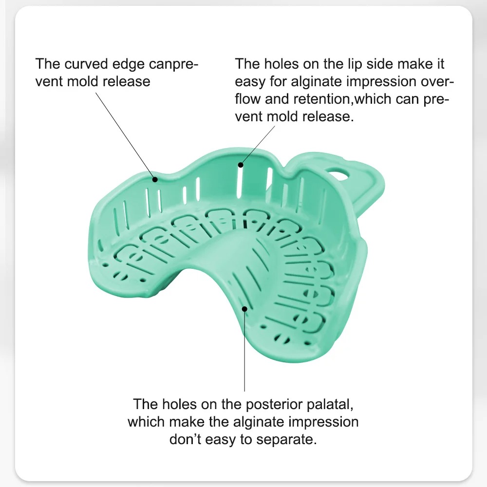 6개입 치과 임플란트 트레이 그린 풀 마우스 인상 트레 - Teeth Whitening Tray 리뷰 및 가격