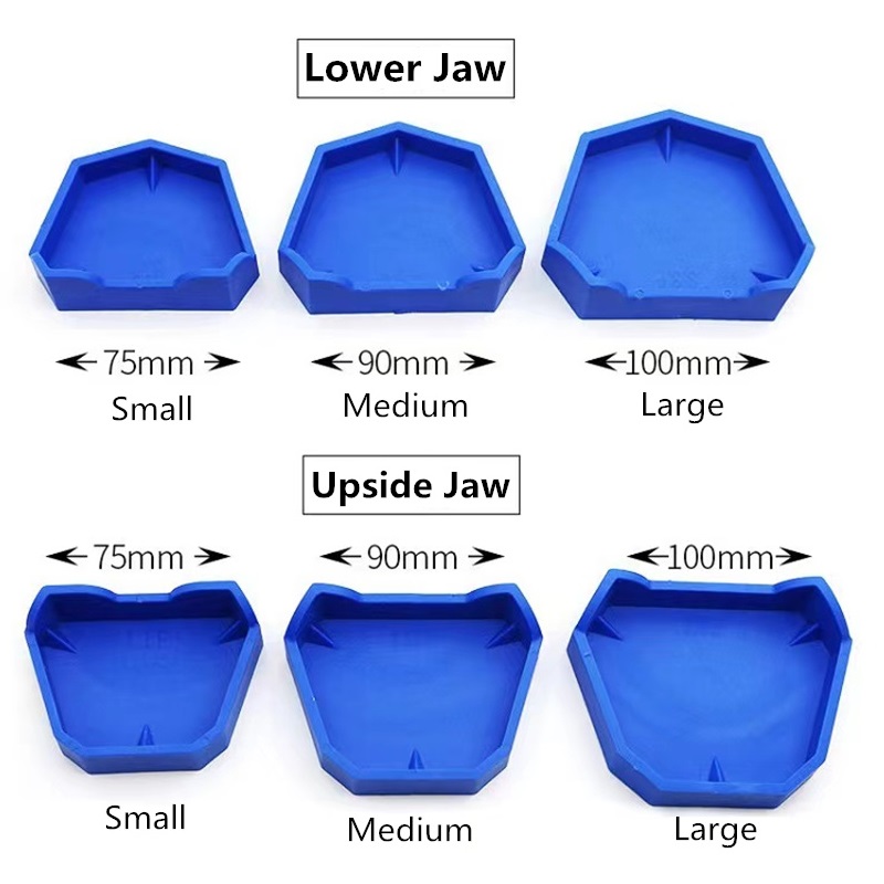6 개/대 치과 모델 기본 실리콘 고무 석고 모델 기본 - Teeth Whitening Tray 리뷰 및 가격