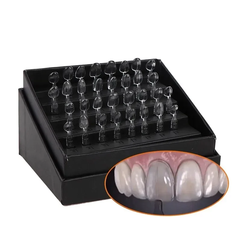 32개 치과용 베니어 몰드 키트 복합 레진 몰드 광중합 - Teeth Whitening Kit With Light 리뷰 및 가격